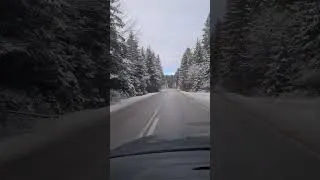Thumbnail: winter is coming #winter #reels #pinetree
