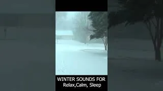 Thumbnail: Epic Wind Snow storm #shorts