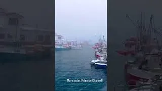 Thumbnail: Amazing falling snow #shorts