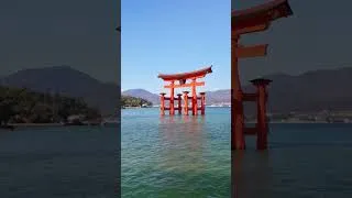 Thumbnail: Beautiful of Itsukushima  - Japan #viralshorts #shortsyoutube #japan #itsukushima