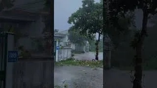 Thumbnail: Tropical Rain and Thunder ⛈️ (Nature Sounds) | Deep Sleep  #deepsleep #relax #rain