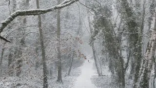 Thumbnail: Walk in the Snow with Soft Piano #shorts