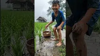 Thumbnail: មេឃភ្លៀងដើរចាប់ក្តាមតាមស្រែ Nature Sounds for Deep Relaxation 🌿 |   #Relaxation #Relaxing