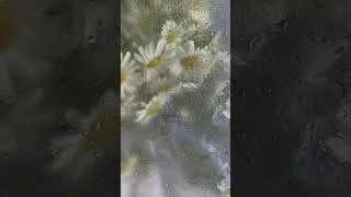 Thumbnail: Bach, Goldberg Variations BWV 988: "Aria" The Most Relaxing & Beautiful Classical Piano, Rain Sounds