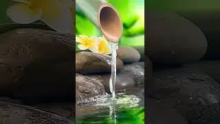 Thumbnail: Music to Relax the Mind + Yoga, Sleeping Music for Meditation, Relaxing Sleep Music, Zen,Water Sound