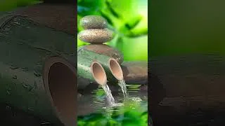 Thumbnail: Bamboo Water Fountain Relaxing Piano Music 🌿 Relaxing Music for Sleeping and Dreaming, Spa, Yoga