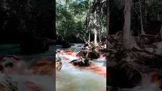 Thumbnail: #Short #nature #river #birdsong