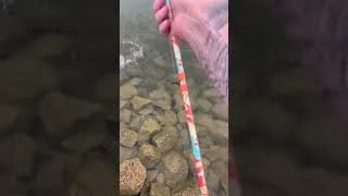 Thumbnail: Little topwater action for you.🤙#fishing #catchandrelease #topwater #fyp