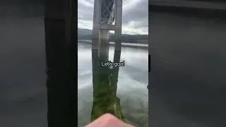 Thumbnail: Got catfished #fyp #catchandrelease #bassfishing #angler