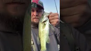 Thumbnail: Few releases.🤙#fyp #bassfishing #catchandrelease #bass