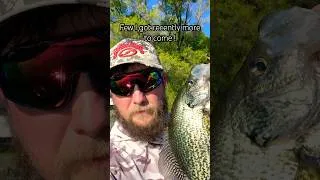 Thumbnail: Few from the last couple trips! #fishing #bass #catchandrelease #fyp
