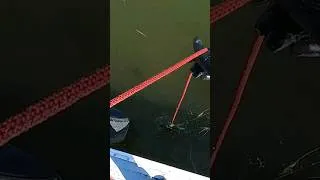 Thumbnail: Incredible! I Can't Believe What We Found Magnet Fishing🧲  #magnetfishing #magnets #florida #magnet