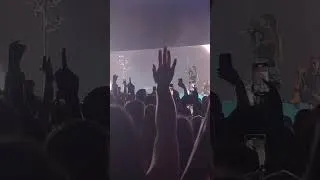 Thumbnail: I've edited a ton of music over the years but recently I've discovered the joys of concerts. Tinashe