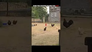 Thumbnail: This Cat Was Fearless, Even the Dog Backed Down! #trending #animals #wildlife #youtubeshorts