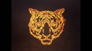 Thumbnail: Notch Tiger To Zebra transformation