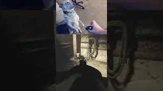 Thumbnail: My Dog Played A Videogame (He got his 1st Kill!) #dog #gaming #gamer