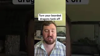 Thumbnail: Turn your bearded dragons tank off