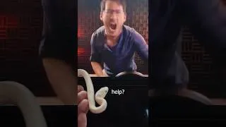 Thumbnail: I think Tofu is just a hater... (Markiplier Snake Test)