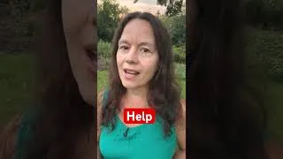 Thumbnail: What if I told you your dogs problems are all connected?
