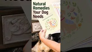 Thumbnail: Natural remedies your dog needs 🐶 #doghealth #naturalremedies #dogtips