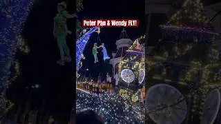 Thumbnail: Peter Pan & Wendy FLY at Magic Kingdom!