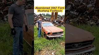 Thumbnail: Car Restoration ASMR| Abandoned 1967 Ford Mustang Fastback | Classic Muscle Car Restoration