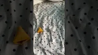 Thumbnail: Fours Fortunes in One Fortune Cookie