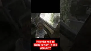 Thumbnail: Ladder fails in Last of Us 2