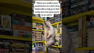 Thumbnail: Adulting Goals Achieved | RGUK #capcut #memes