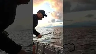 Thumbnail: BIG FISH | SMALL BOAT #shorts