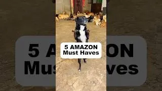 Thumbnail: AMAZON MUST HAVES! #tiktokmademebuyit  #amazonmusthaves #2023amazonmusthaves