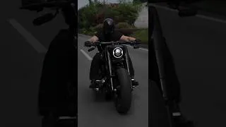 Thumbnail: Harley ride like pro #harleydavidson #bikelife #shortvideo # #seniorriders