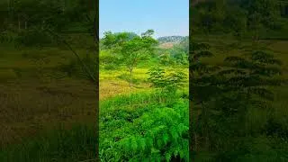 Thumbnail: #shortsvideo #subscribe #dunghuyensuoikhoang #shortsyoutube #short