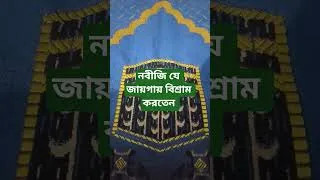 Thumbnail: নবীজি যে গাছের নিচে বিশ্রাম করতেন #bd #quran #islamicprayer #dua