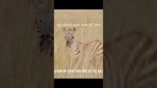 Thumbnail: The Serengeti was so worth it!