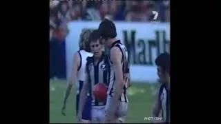 Thumbnail: RARE: Mike Williamson on 3DB radio calling the Twiggy Dunne goal in 1977 Drawn Grand Final