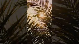 Thumbnail: Shorts #travelvlog #travel #shorts