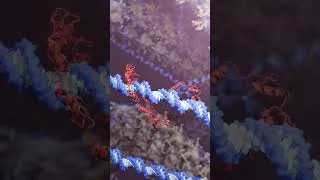 Thumbnail: Zinc Finger Protein
