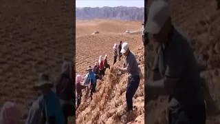 Thumbnail: Taklamakan Desert TRANSFORMED Into Productive Land #deserttransformation