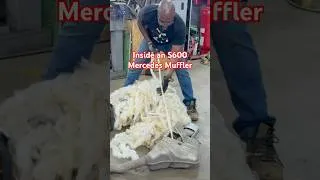 Thumbnail: I pulled a Golden Retriever out of my Mercedes Exhaust