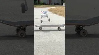 Thumbnail: Is Beni the Camera Robot A.I?