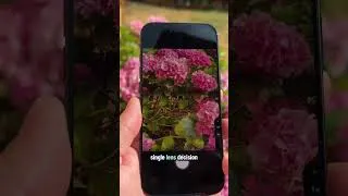 Thumbnail: Revolutionary Camera: Two Cameras in One Sensor & Centre Stage Sensor