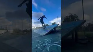 Thumbnail: Clyde Singleton + Birdhouse Guest Pro Model