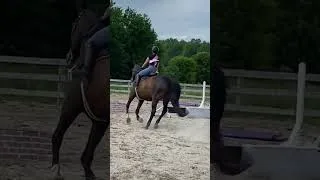 Thumbnail: Birthday Lesson! 🎂💗🐴 #shorts #horseriding #horse