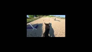 Thumbnail: Bounce Pole Exercise! 🐴🧡 #shorts #horseriding #equestrian