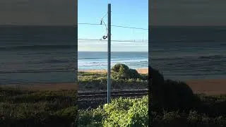 Thumbnail: 🌅 NSW South Coast Daily Surf Report #waves