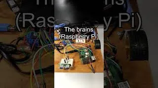 Thumbnail: Fun learning project - Robot that sees using ultrasonic sensor and has motor encoders