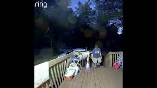 Thumbnail: Amy's husband was quickly bringing something inside...until this happened 😅 Everyone's okay 👍