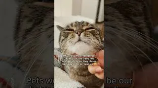 Thumbnail: They couldn't wait to meet us🥹 #shorts #cat #funny