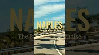 Thumbnail: Glimpse of Naples 🌴 #shorts #travel #naplesflorida